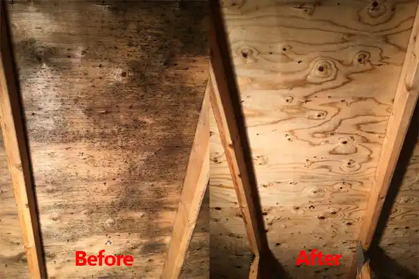 water damage restoration service Smiths Grove
